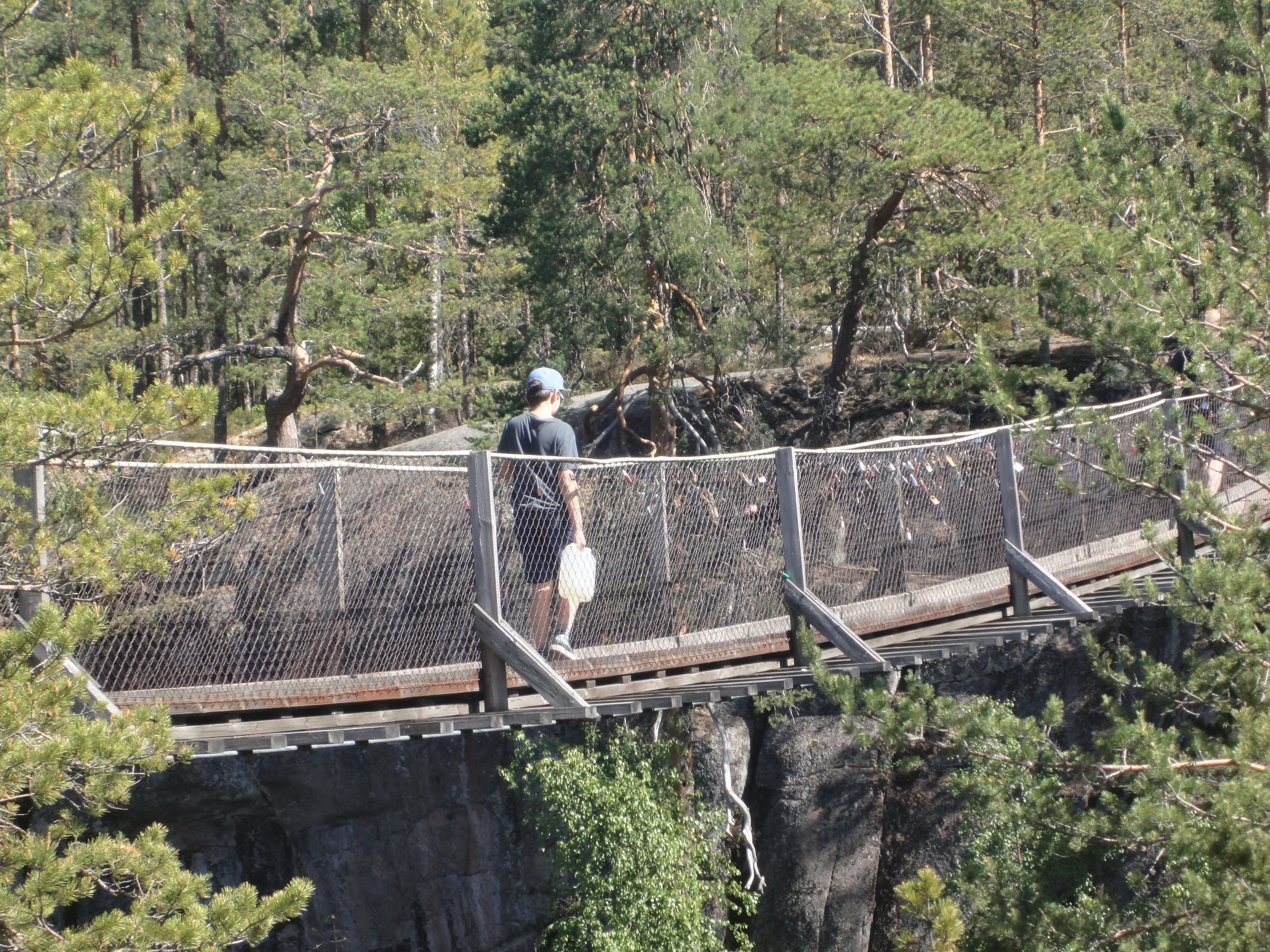 Национальный парк Реповеси. Подвесной мост